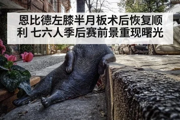 恩比德左膝半月板术后恢复顺利 七六人季后赛前景重现曙光